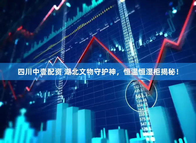 四川中壹配资 湖北文物守护神，恒温恒湿柜揭秘！